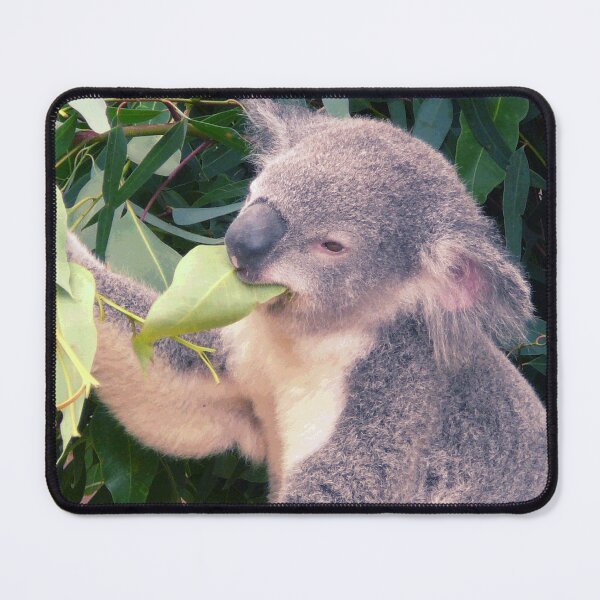 Item preview, Koala #15 designed and sold by KingdomWildlife.