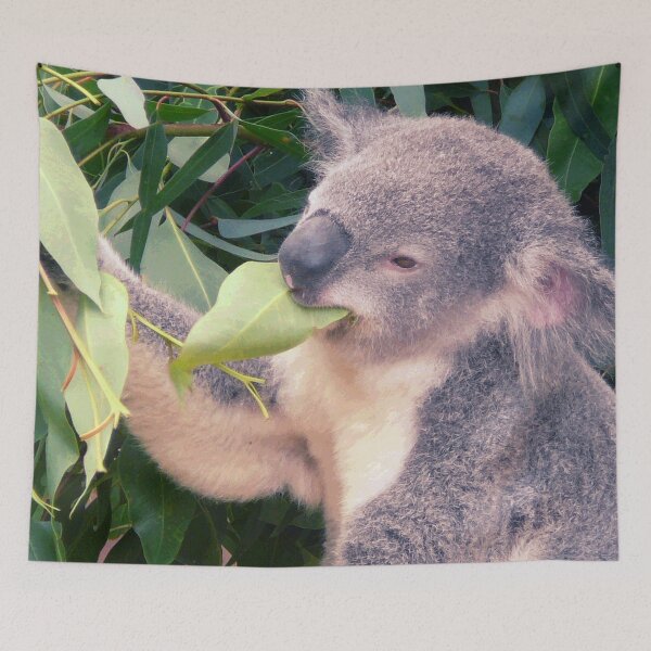 Item preview, Koala #15 designed and sold by KingdomWildlife.