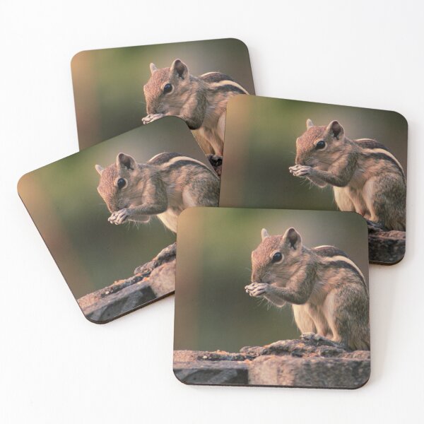 Item preview, Squirrel #1 designed and sold by KingdomWildlife.