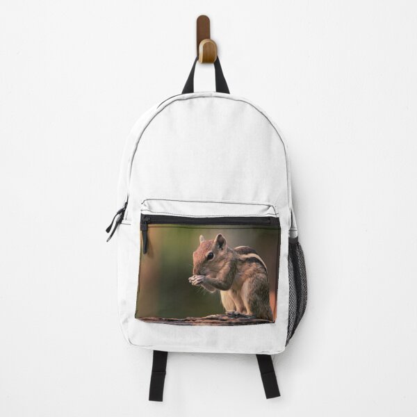 Item preview, Squirrel #1 designed and sold by KingdomWildlife.