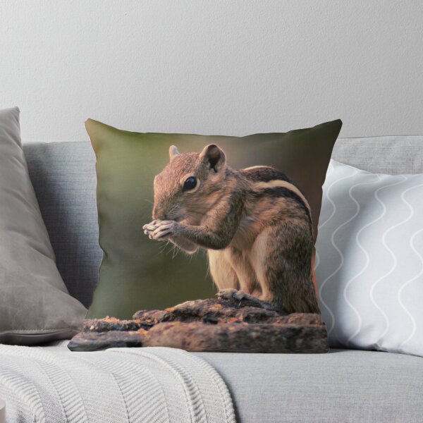 Item preview, Squirrel #1 designed and sold by KingdomWildlife.