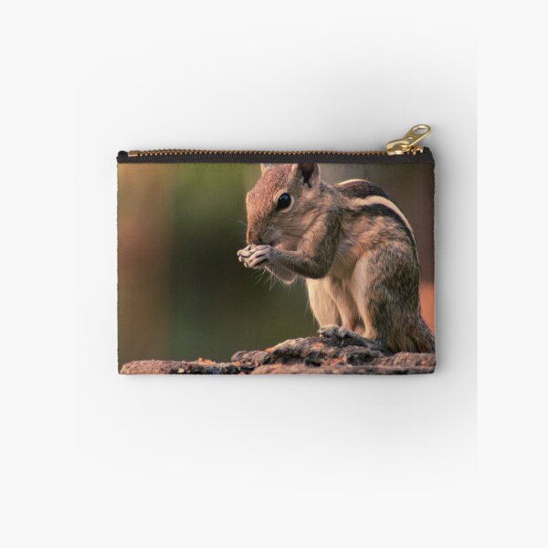 Item preview, Squirrel #1 designed and sold by KingdomWildlife.