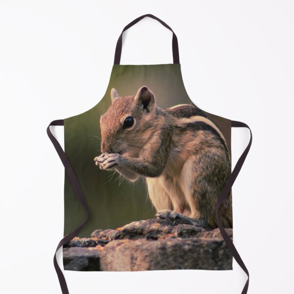 Item preview, Squirrel #1 designed and sold by KingdomWildlife.