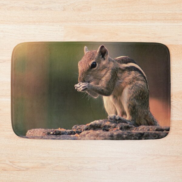 Item preview, Squirrel #1 designed and sold by KingdomWildlife.