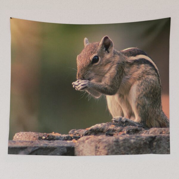Item preview, Squirrel #1 designed and sold by KingdomWildlife.