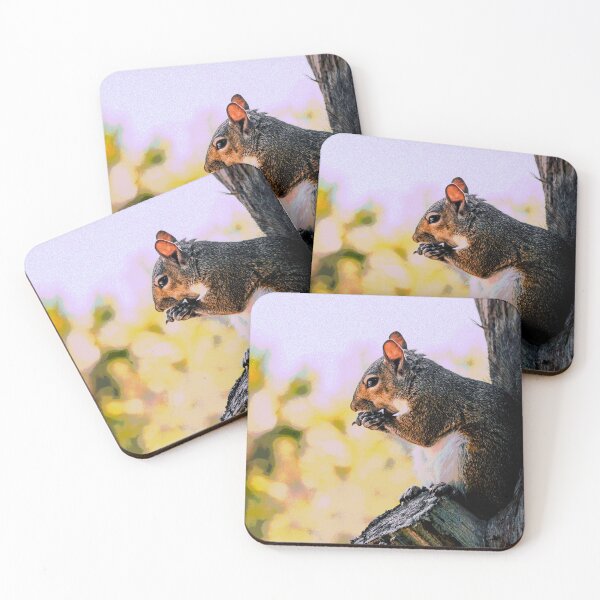 Item preview, Squirrel #3 designed and sold by KingdomWildlife.