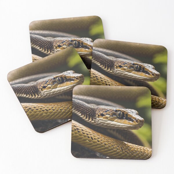 Item preview, close up snake designed and sold by biscuitArts.