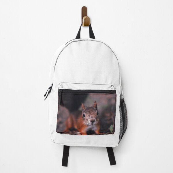 Item preview, Squirrel #6 designed and sold by KingdomWildlife.