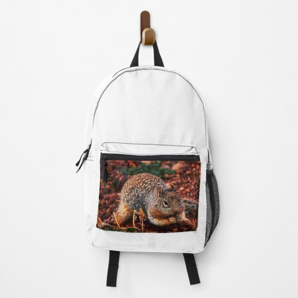 Item preview, Squirrel #8 designed and sold by KingdomWildlife.