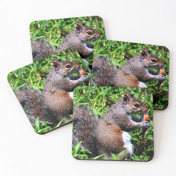 Item preview, Squirrel #9 designed and sold by KingdomWildlife.