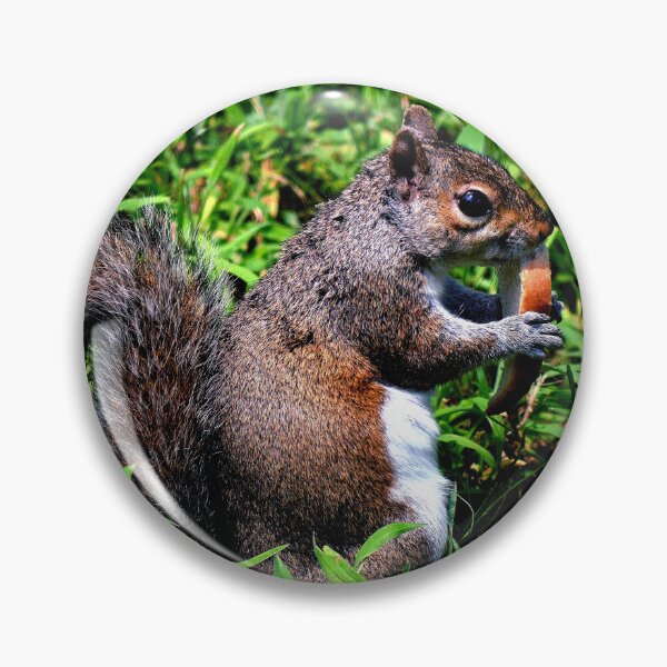 Item preview, Squirrel #9 designed and sold by KingdomWildlife.