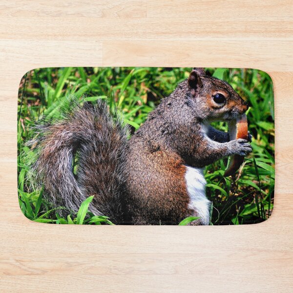 Item preview, Squirrel #9 designed and sold by KingdomWildlife.