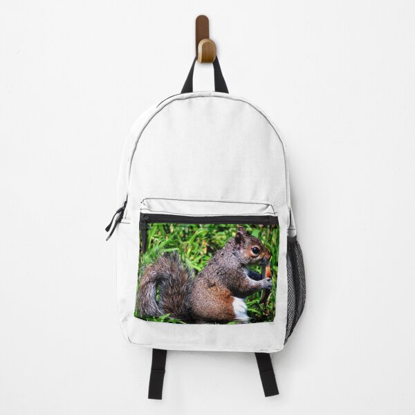 Item preview, Squirrel #9 designed and sold by KingdomWildlife.