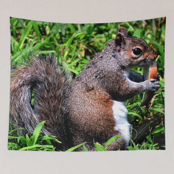 Item preview, Squirrel #9 designed and sold by KingdomWildlife.