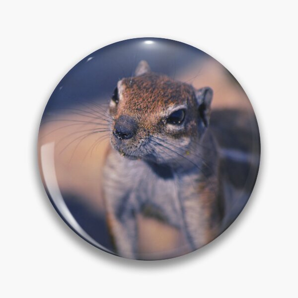 Item preview, Squirrel #11 designed and sold by KingdomWildlife.