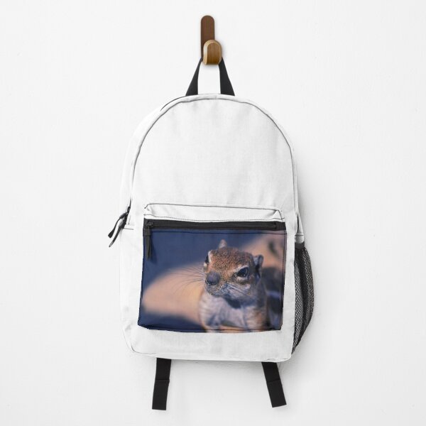 Item preview, Squirrel #11 designed and sold by KingdomWildlife.