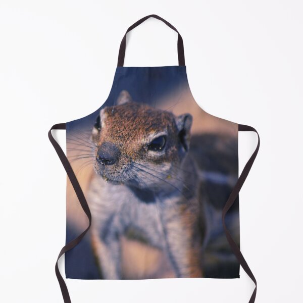 Item preview, Squirrel #11 designed and sold by KingdomWildlife.