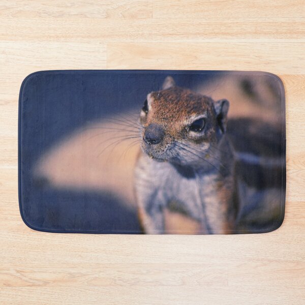 Item preview, Squirrel #11 designed and sold by KingdomWildlife.