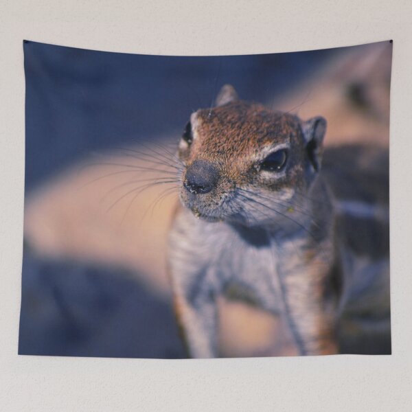 Item preview, Squirrel #11 designed and sold by KingdomWildlife.