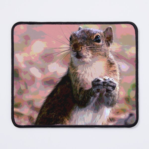 Item preview, Squirrel #12 designed and sold by KingdomWildlife.
