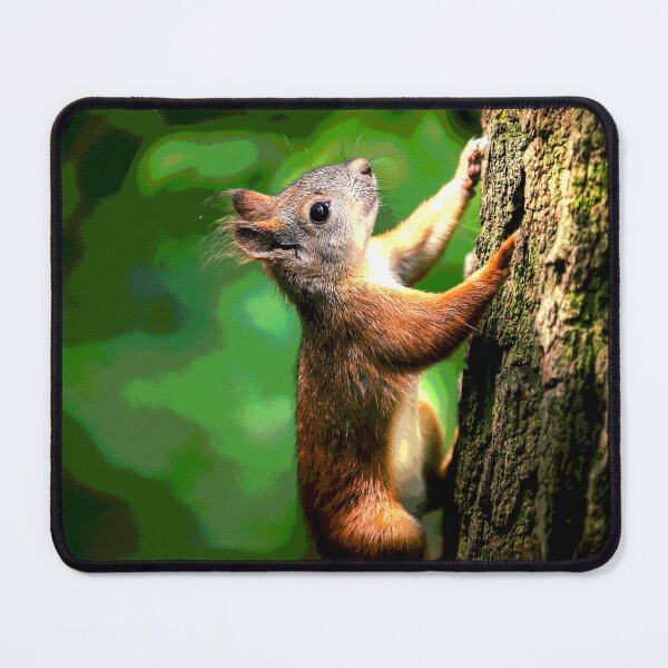 Item preview, Squirrel #13 designed and sold by KingdomWildlife.