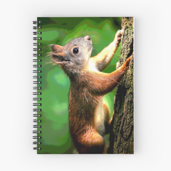 Item preview, Squirrel #13 designed and sold by KingdomWildlife.
