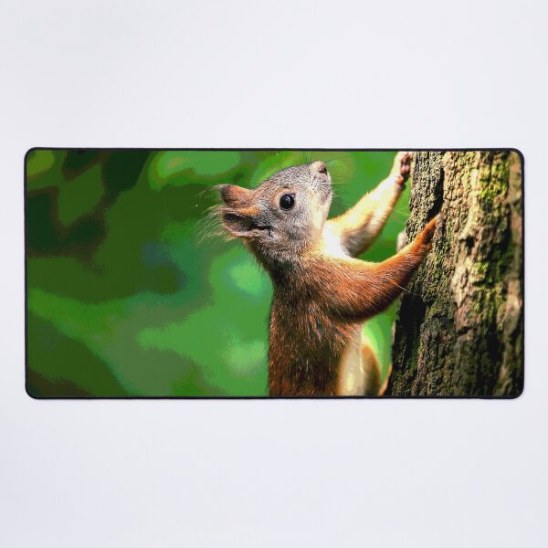 Item preview, Squirrel #13 designed and sold by KingdomWildlife.
