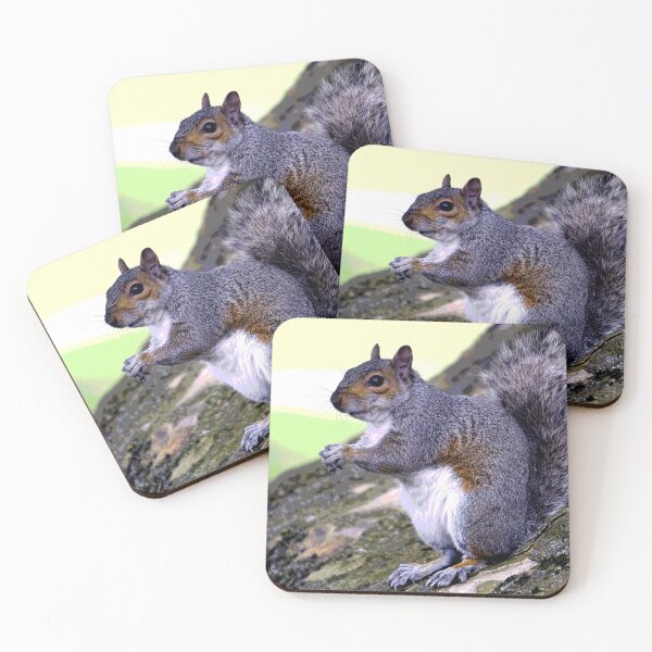 Item preview, Squirrel #14 designed and sold by KingdomWildlife.