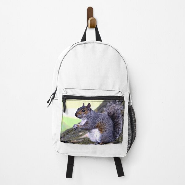 Item preview, Squirrel #14 designed and sold by KingdomWildlife.