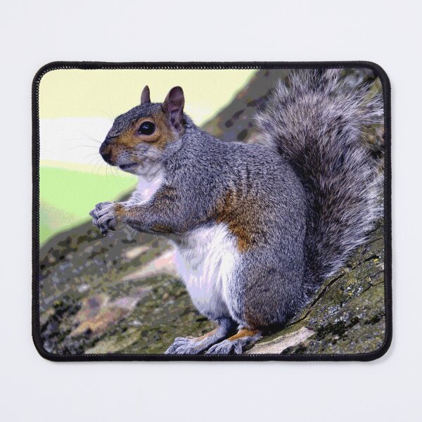 Item preview, Squirrel #14 designed and sold by KingdomWildlife.