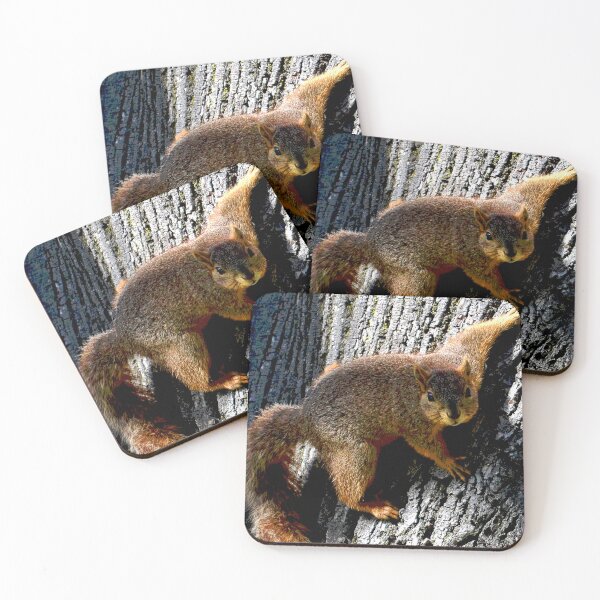 Item preview, Squirrel #15 designed and sold by KingdomWildlife.