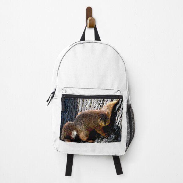 Item preview, Squirrel #15 designed and sold by KingdomWildlife.