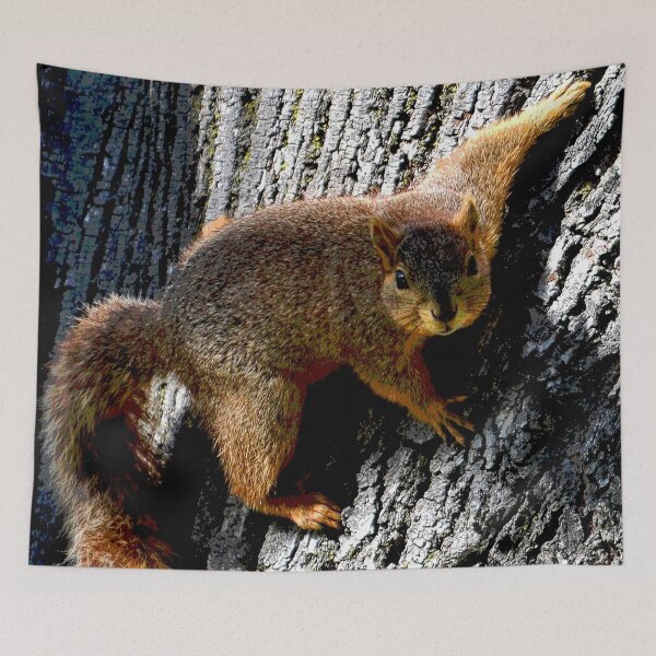 Item preview, Squirrel #15 designed and sold by KingdomWildlife.