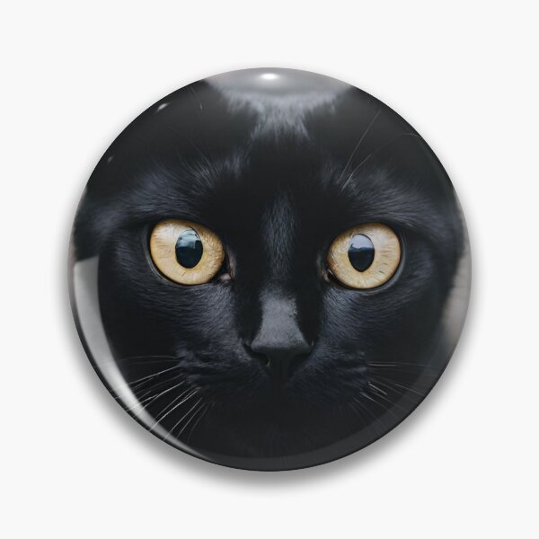 Item preview, My WIFI Password is... Why Are You Even Trying? designed and sold by PedalPowerGFX.