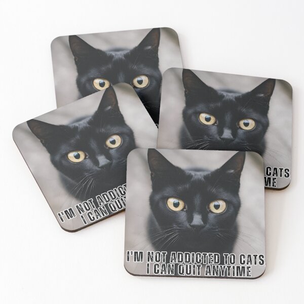 Item preview, My WIFI Password is... Why Are You Even Trying? designed and sold by PedalPowerGFX.