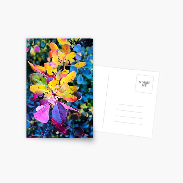Item preview, Colorful foliage designed and sold by BlueGardenia.