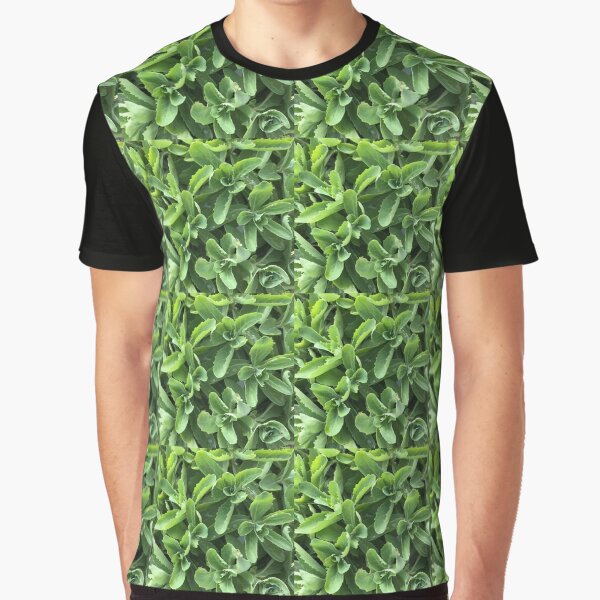 Stonecrop Plaid Graphic T-Shirt