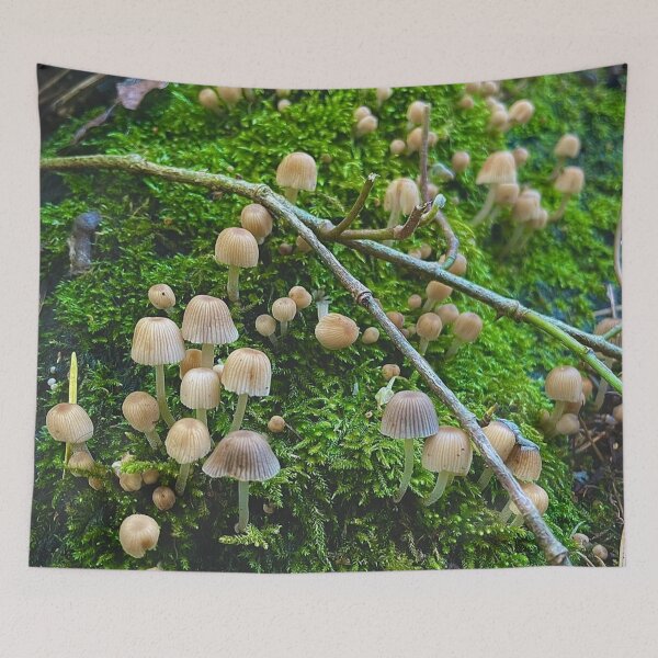 Aperçu de l'œuvre Collection de champignons créée et vendue par Willowlady.