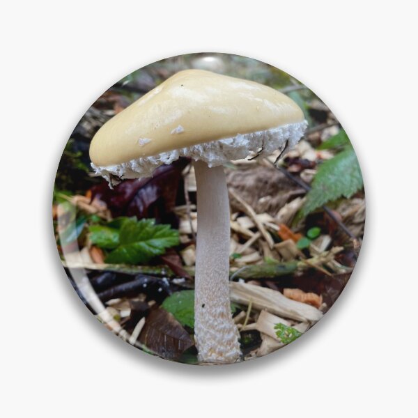 Item preview, Questionable Stropharia designed and sold by Willowlady.