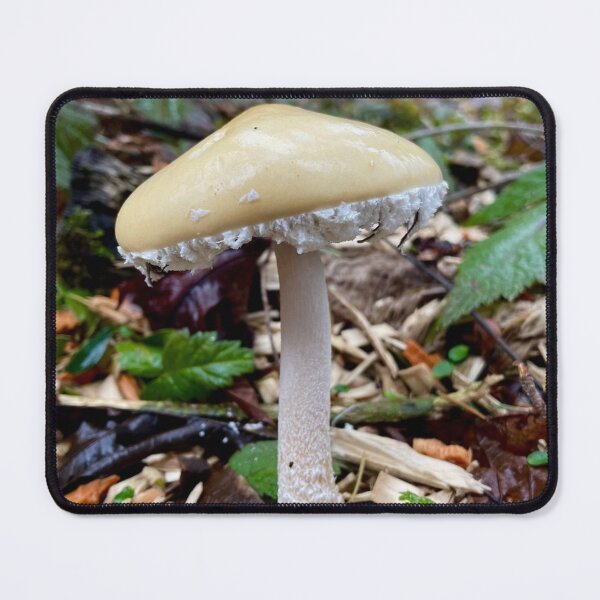 Item preview, Questionable Stropharia designed and sold by Willowlady.
