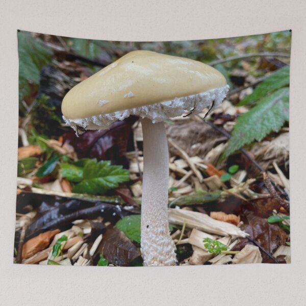 Item preview, Questionable Stropharia designed and sold by Willowlady.
