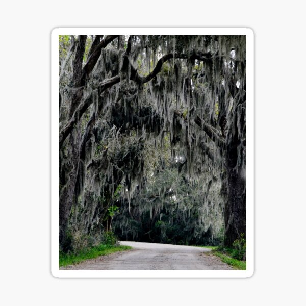 Item preview, Savannah Moss designed and sold by Eileen Brymer.