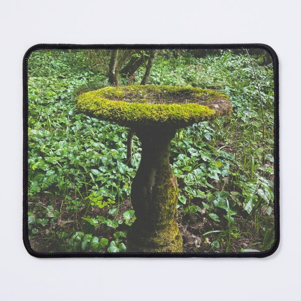Item preview, Moss Embraced Birdbath designed and sold by Willowlady.