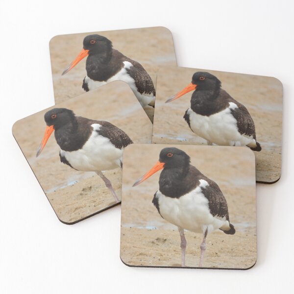 Item preview, Australian Pied Oystercatcher on the low tide designed and sold by Mark Grimsley.