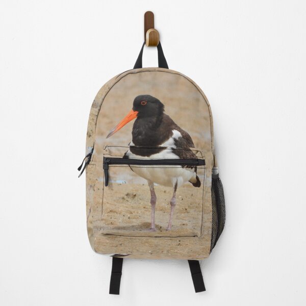 Item preview, Australian Pied Oystercatcher on the low tide designed and sold by Mark Grimsley.