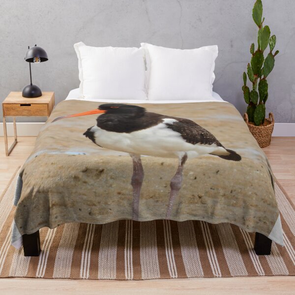 Item preview, Australian Pied Oystercatcher on the low tide designed and sold by Mark Grimsley.