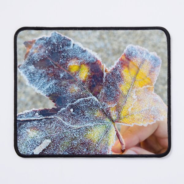 Item preview, Natures Confetti designed and sold by Amanda Crone.