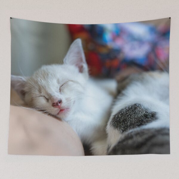 Item preview, 2 gatitos durmiendo designed and sold by Rescue-Cats.