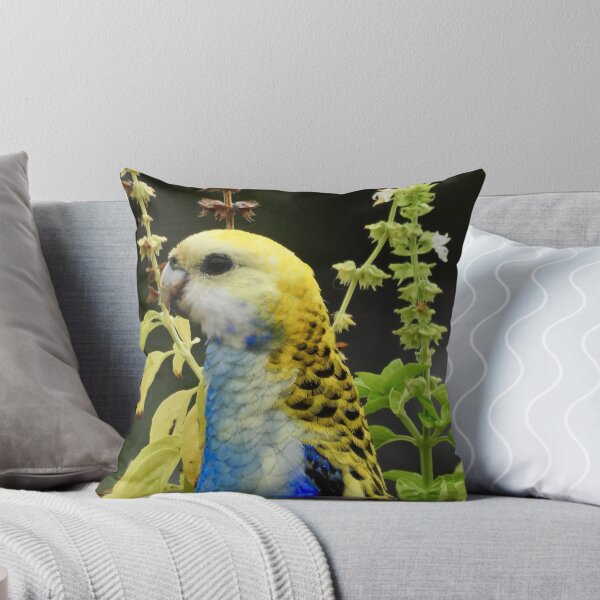 Item preview, Pale-Headed Rosella looking satisfied designed and sold by Mark Grimsley.