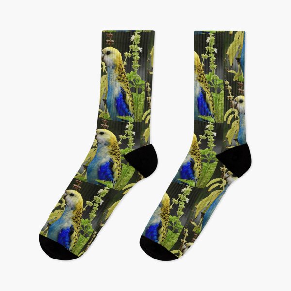 Item preview, Pale-Headed Rosella looking satisfied designed and sold by Mark Grimsley.